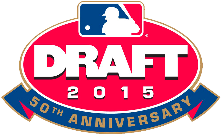 MLB Draft 2015 Primary Logo t shirts iron on transfers